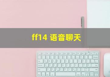 ff14 语音聊天